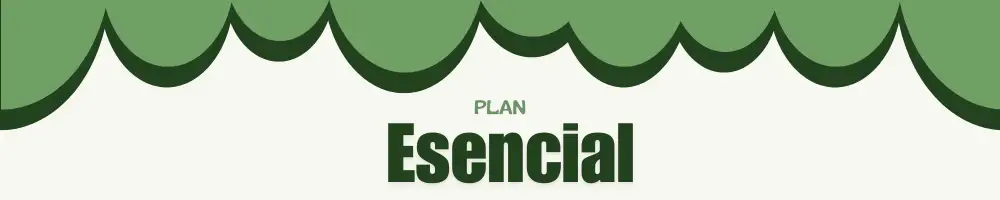 titulo de la modelidad