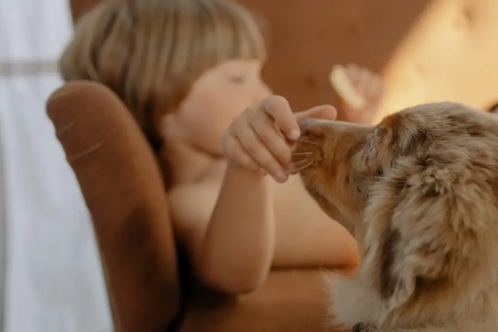Convivencia entre niños y mascotas